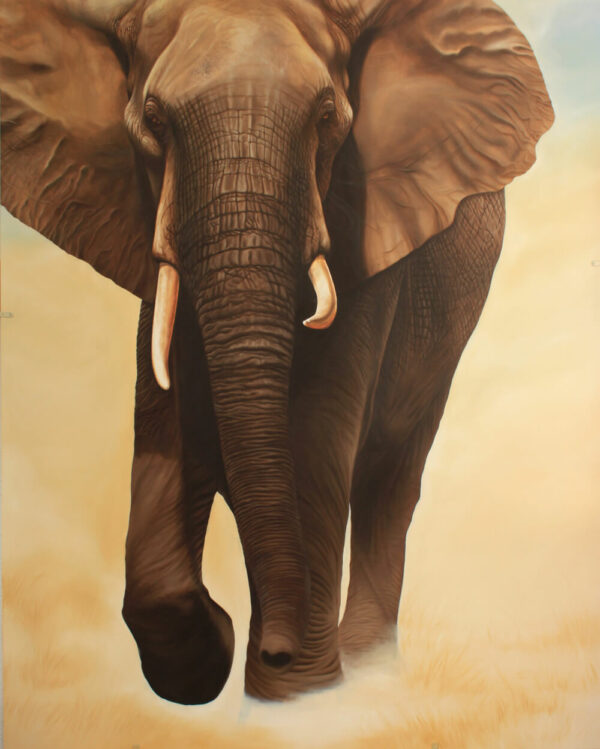 Tableau Elephant Afrique Grand Format Toile St Phane Alsac