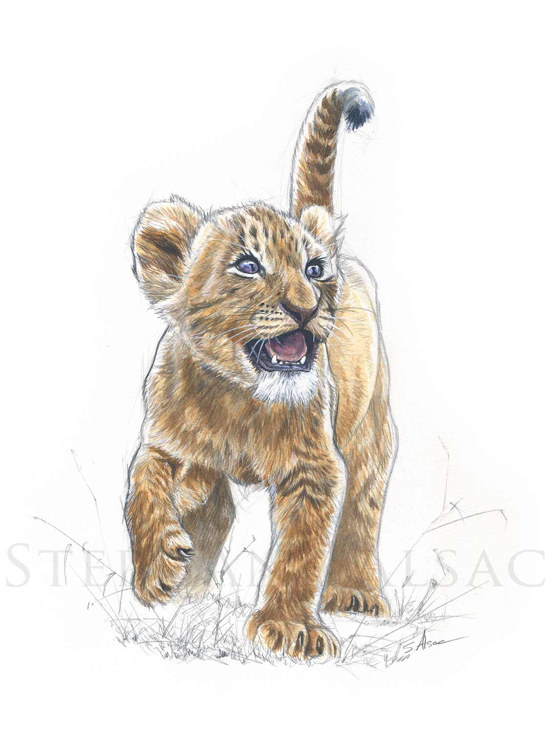Christopher Straver - LethalChris Drawing - Hi everyone! Here's my drawing  of a Lion Cub! I also uploaded a tutorial video on my YouTube channel - so  be sure to check it