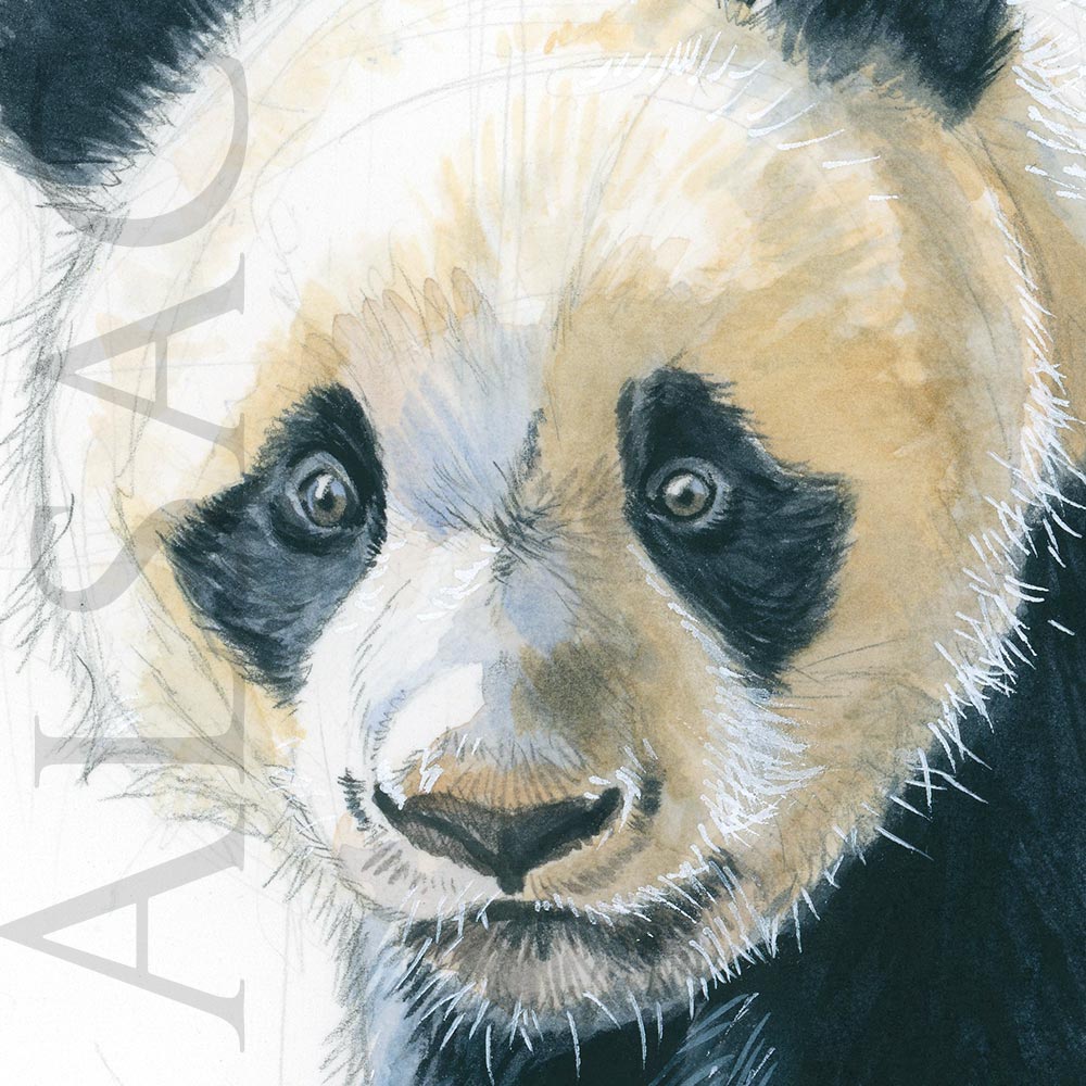 Petit Panda fait de la peinture: septembre 2017
