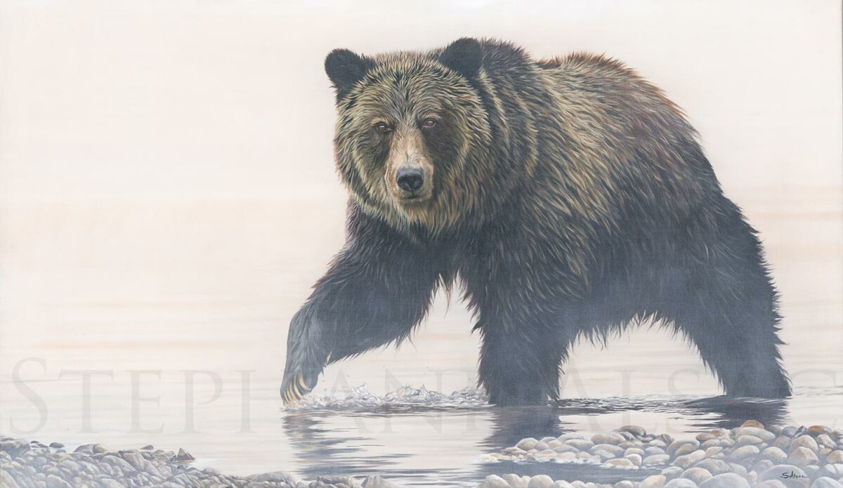 SA-435] Brown Bear Sketch Stock Art* – TwoBee, LLC